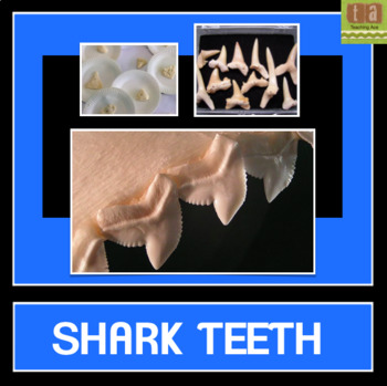 Preview of Shark Teeth