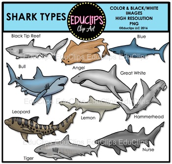 Preview of Shark Types Clip Art Bundle {Educlips Clipart}