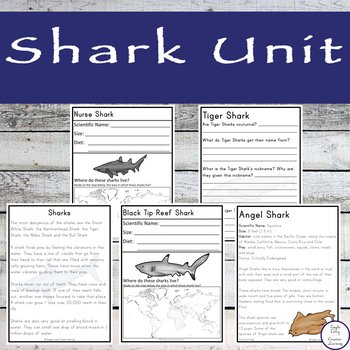 Shark Unit by Simple Living Creative Learning | TPT