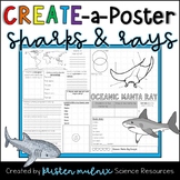 Shark and Ray Animal Create a Poster Project