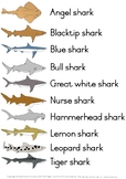 Shark unit