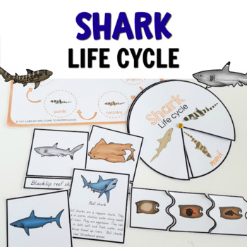 Preview of Hands-on Life Cycle of a Shark Activities and Printables Bundle