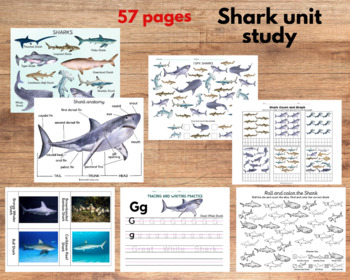 Preview of Shark unit study, Shark anatomy and Shark species three-part cards