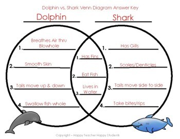 Shark versus Dolphin Venn Diagram: Dolphins and Sharks Comparison Activity