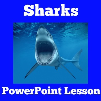 Preview of SHARKS SHARK "SHARK WEEK" Activity PowerPoint Lesson Science 1st 2nd 3rd Grade
