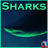 Sharks - PowerPoint & Activities