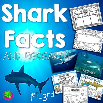 Shark Facts by Classroom Base Camp | Teachers Pay Teachers