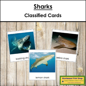 Kindergarten ESL Game: A shark is coming — TEFL Lemon: Free ESL lesson  ideas and great content for TEFL teachers