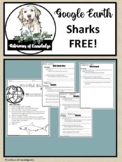 Sharks Interactive Web Exploration