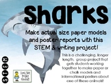 Sharks - Actual-Size Models and Poster Reports