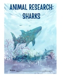 Sharks - Animal Research 1st - 3rd grade