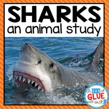 Preview of Sharks | Shark Science | Shark Activities: Parts of a Shark, Life Cycle, & Craft