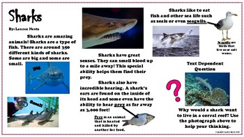 Preview of Sharks Close Read