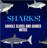 Sharks! Guided Notes and Google Slides