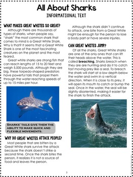 shark essay in english for class 5