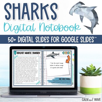 Preview of Sharks Interactive Digital Notebook Unit Study