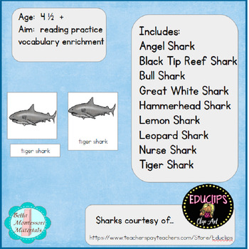 what classification is the shark