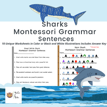 Preview of Sharks Montessori Grammar Sentences