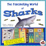 Sharks Non-fiction text and Interactive Materials