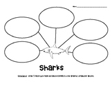 Sharks Nonfiction Graphic Organizer
