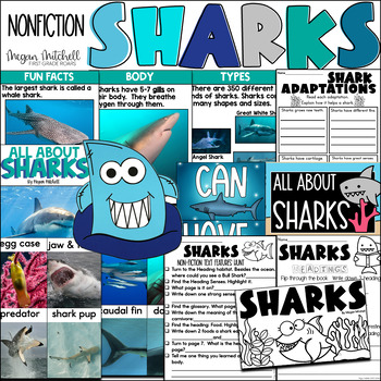 Preview of Sharks Nonfiction Reading Comprehension Informational Text Unit