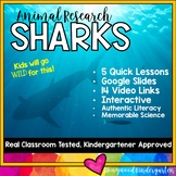 Sharks .. Ocean Animal Research : Science, Writing : Summe