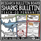 Sharks Ocean Animals Research Activities Project Templates