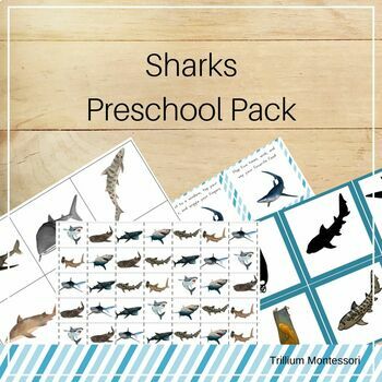 Preview of Sharks Preschool and PreK Skills