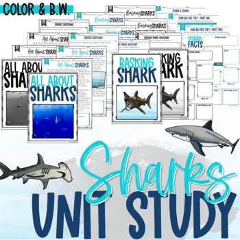Preview of Sharks Printable Worksheet Unit Study with Lapbook or Interactive Notebook