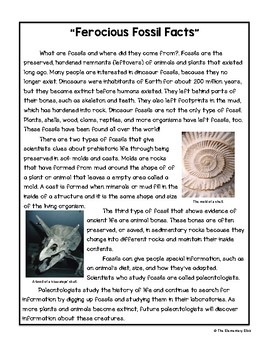 Fossil Facts Nonfiction Reading Comprehension and Questions by The Lit  Teacher