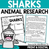 Sharks Research Reading Writing | Animal Research Report