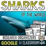Sharks Report: Research Project Organizers GOOGLE CLASSROO