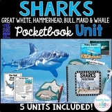 Sharks Research Mega Bundle (Hammerhead, Great White, Whal