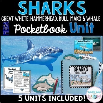 Preview of Sharks Research Mega Bundle (Hammerhead, Great White, Whale Shark & MORE!)