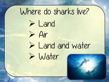 card shark questions