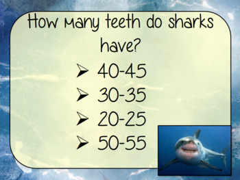card shark questions