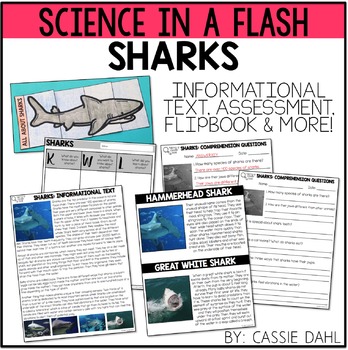 Sharks by Cassie Dahl | Teachers Pay Teachers