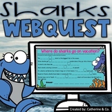Sharks WebQuest Activity 