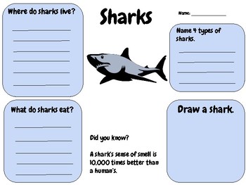 Sharks Writing Activity (Graphic Organizer) by Digital Breakout Guy