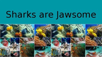 Preview of Sharks are Jawsome- Sharks and Fish Activity