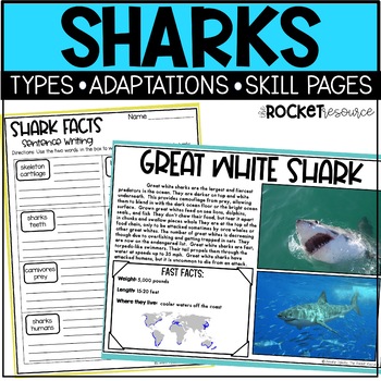 Sharks: animal facts, types, adaptations, diagram, etc. / Distance Learning