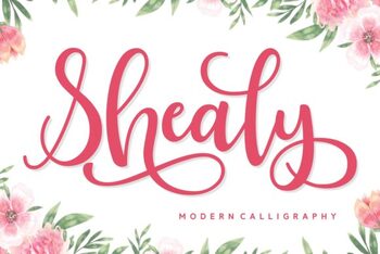 Shealy Font by MR FONTS | TPT