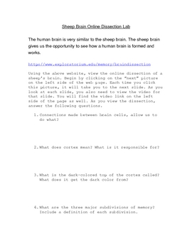 Preview of Sheep Brain Online Dissection worksheet