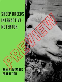 Preview of Sheep Breeds Digital Interactive Notebook