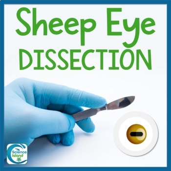 Preview of Sheep Eye Dissection Lab