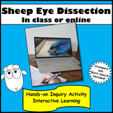 Sheep Eye Dissection - an in-class or on-line activity