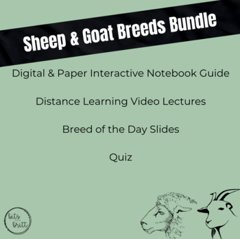 Preview of Sheep & Goat Breeds