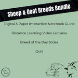 Sheep & Goat Breeds