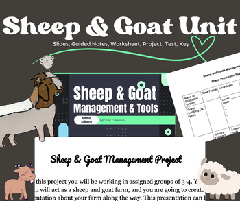 Preview of Sheep & Goat Unit (Slides, Guided Notes, Project, Worksheet, Test, Key)