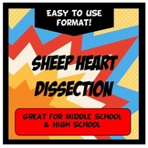 Sheep Heart Dissection Science Lab Activity